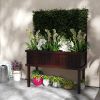 Espresso Fir Wood Raised Garden Bed w/ Elegant Climbing Trellis